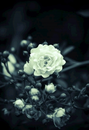 ModernModern Wallpaper