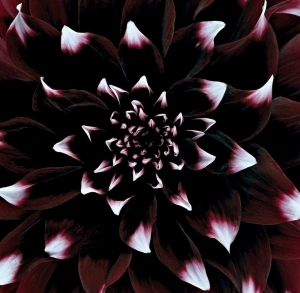 ModernModern Wallpaper