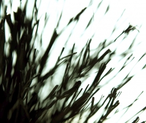 ModernModern Wallpaper