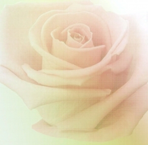 ModernModern Wallpaper