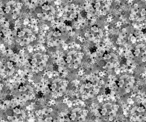 ModernModern Wallpaper