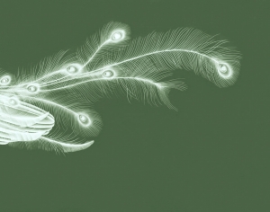 中式壁纸-ID:446300031