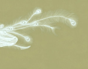 中式壁纸-ID:659609082