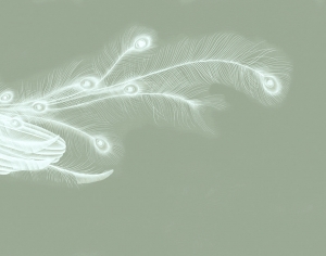 中式壁纸-ID:752880106