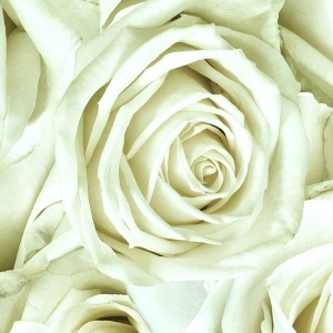 ModernModern Wallpaper