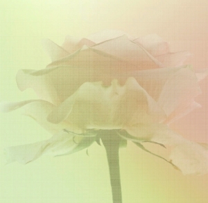 ModernModern Wallpaper