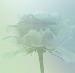 ModernModern Wallpaper