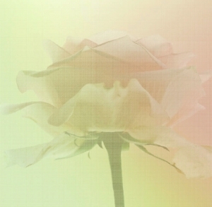 ModernModern Wallpaper