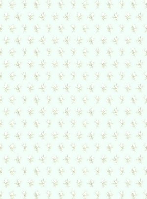 European StyleEuropean Style Wallpaper