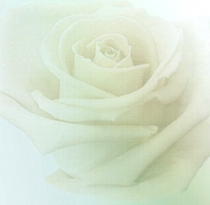 ModernModern Wallpaper