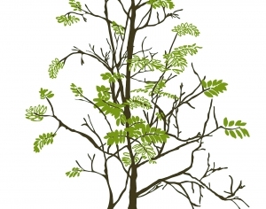 ModernModern Wallpaper