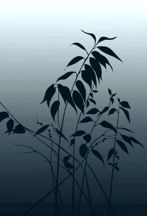 ModernModern Wallpaper