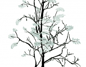 ModernModern Wallpaper