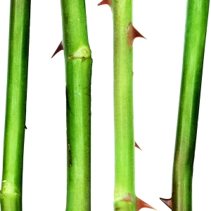 现代花纹壁纸-ID:554371122