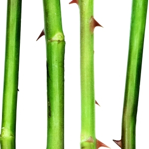 ModernModern Wallpaper