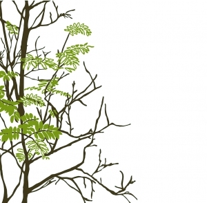 ModernModern Wallpaper