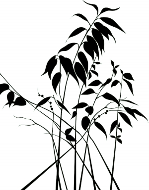 现代花纹壁纸-ID:506151918