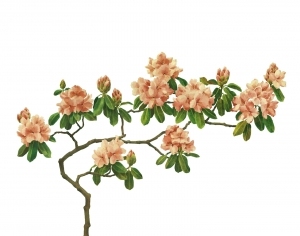 ModernModern Wallpaper