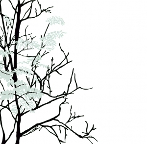 ModernModern Wallpaper