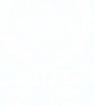 现代壁纸-ID:278511052