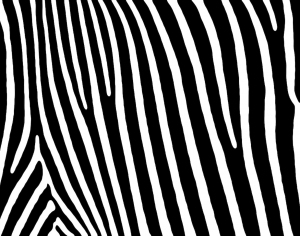 ModernModern Wallpaper