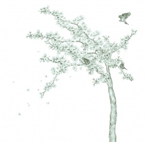 ModernModern Wallpaper