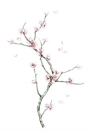 ModernModern Wallpaper