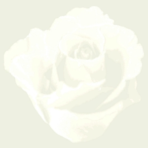 现代壁纸-ID:805301908