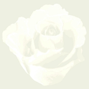 ModernModern Wallpaper