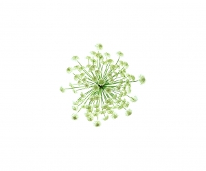 ModernModern Wallpaper