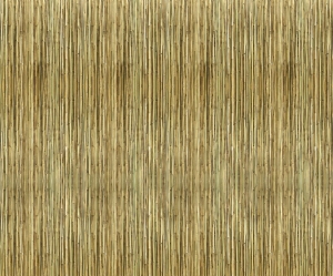 现代竹子-ID:838066109