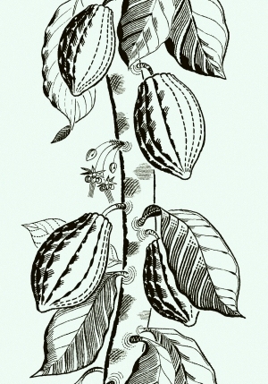 ModernAnimal And Plant Pattern Wallpaper