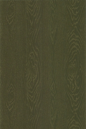 Wood Texture
