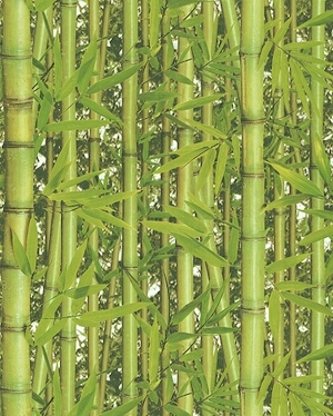 ModernModern Wallpaper