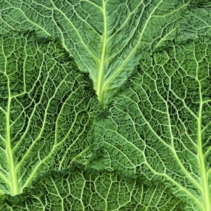 ModernModern Wallpaper