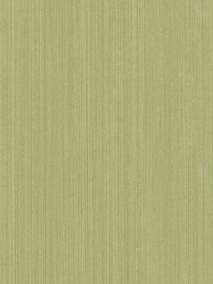 ModernWood Texture