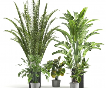 Modern Ground Green Plant Potted Plants-ID:866942885