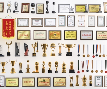 Modern Flag/badge/trophy/certificate-ID:197299007