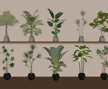 Modern Ground Green Plant Potted Plants-ID:871849061