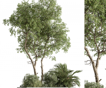 Modern Tree-ID:526057006