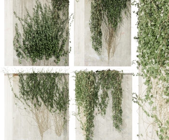 Modern Vine-ID:882992989