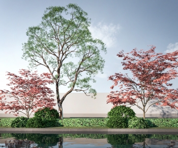 Modern Plant Pile-ID:196878972