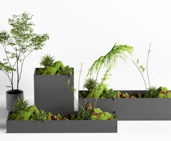 Modern Flower Bed, Flower Bowl, Flower Box-ID:549349879
