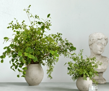 Modern Desktop Plant-ID:683501017