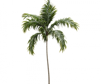 Modern Tree-ID:999773039