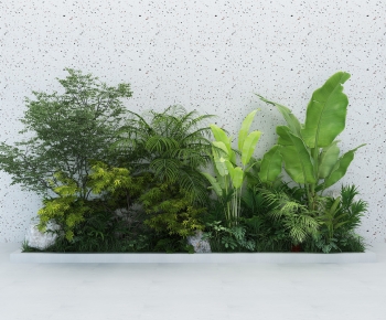 Modern Plant Pile-ID:790121084