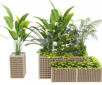 Modern Flower Bed, Flower Bowl, Flower Box-ID:447129012