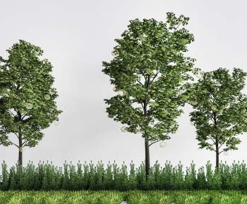 Modern Tree-ID:566577916