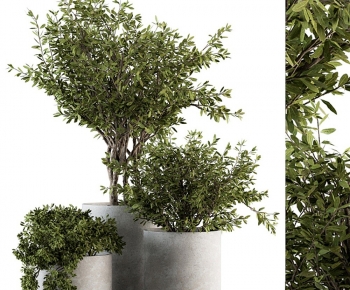 Modern Ground Green Plant Potted Plants-ID:538913975