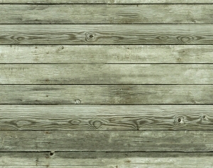 ModernWood Plank